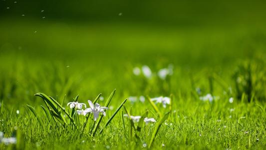 Ů����С���ɰ������ģ�����˳�ڵ�Ů������