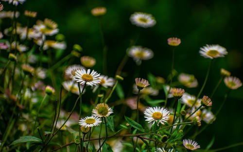 Ů����С���ɰ������ģ�����˳�ڵ�Ů������