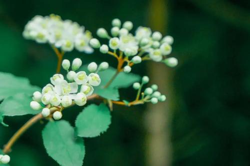 �δ���Ψ����Ԣ�������Ů�������δ�ȡŮ����