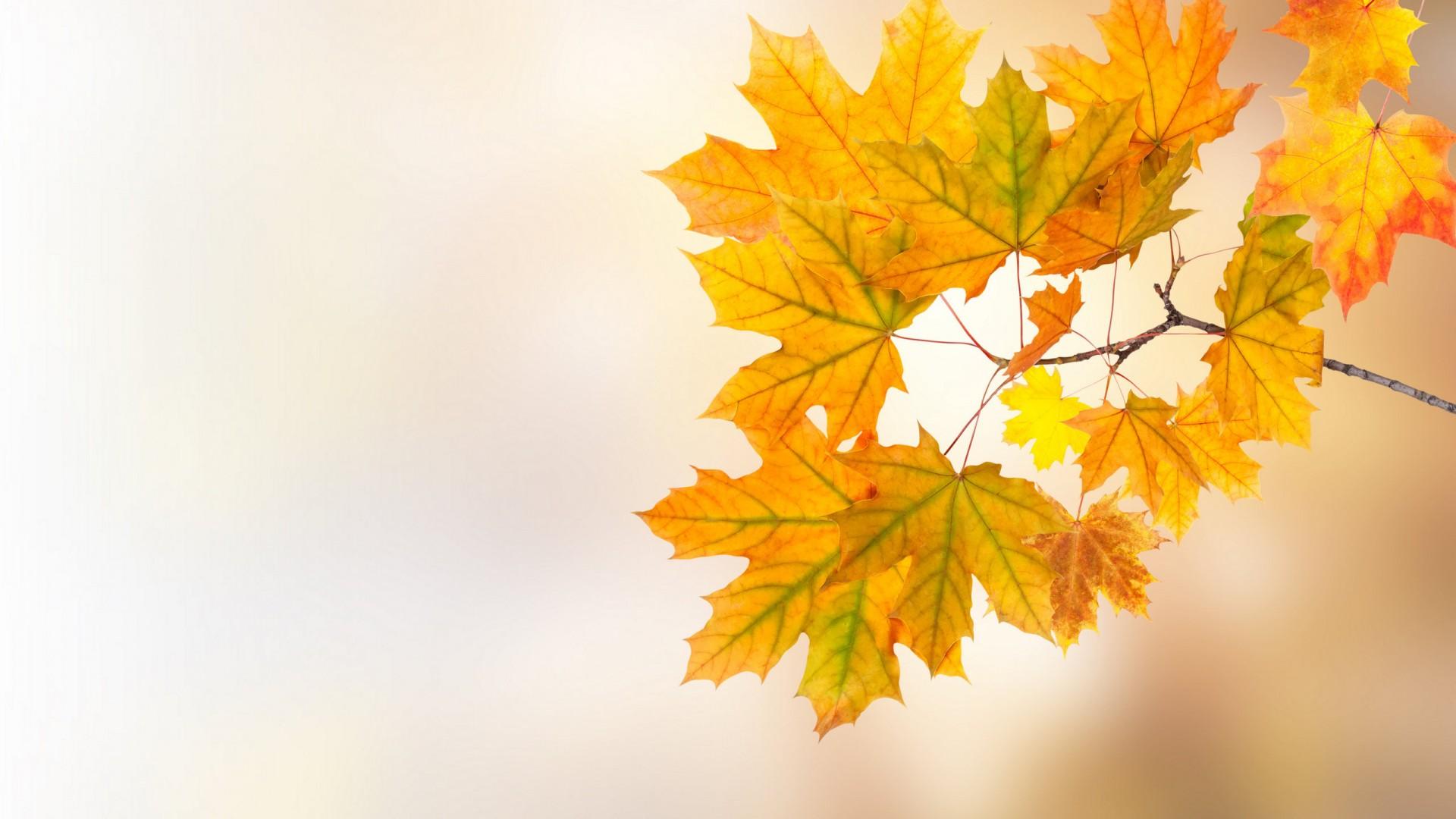 Ů�������ľ�ʫ�����ֹŷ� ���ʺ�Ů���������ں�������