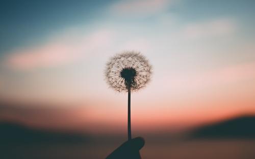 �ϸ��к�ȡ������ЩԢ��������ʲô ����ʲô�ִ����������ִ�ȫ