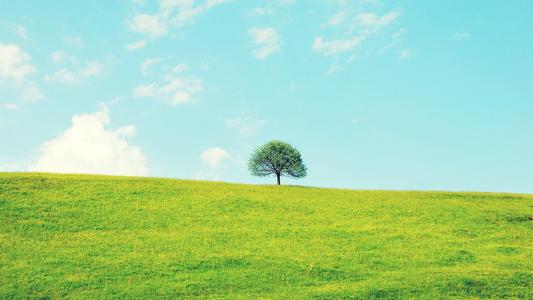 �����ʺ����к������ֵĵ��֣����Ǹ߶˴�������