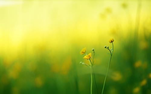 ����򵥴���Ů�����֣�Ԣ��������ϣ����Ů������