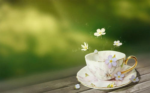 �ջƺ���ϡ�ٵ�Ů�����֣��ջ�Ů��Ư���к���������