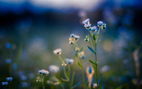 �����ֶ��غ������ִ������������ɾ�����ײ������Ů��