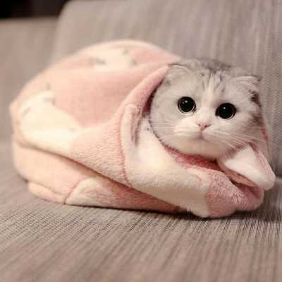 è����ôȡ������������������Ůè��������