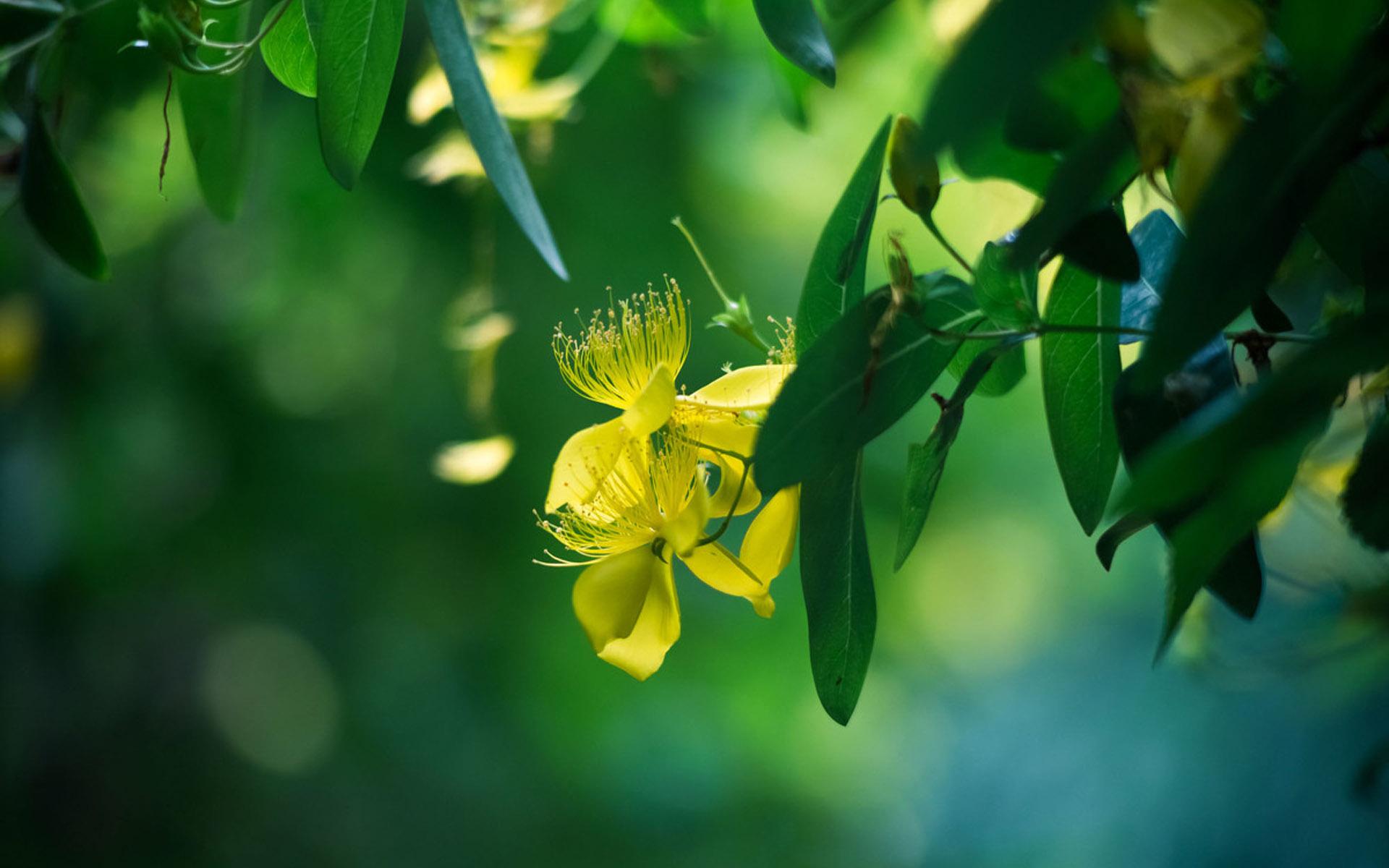 ���ȡ��ʲôԢ�����������ĸ� Ů���������ȡ������ʲô��