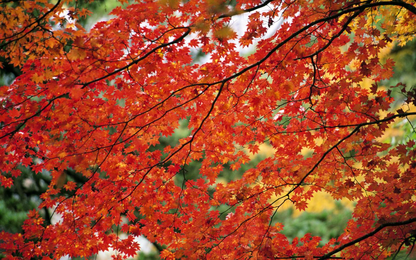 Ů������ȡ����Ԣ����ʲô Ů��������ʲô�ֺ����������