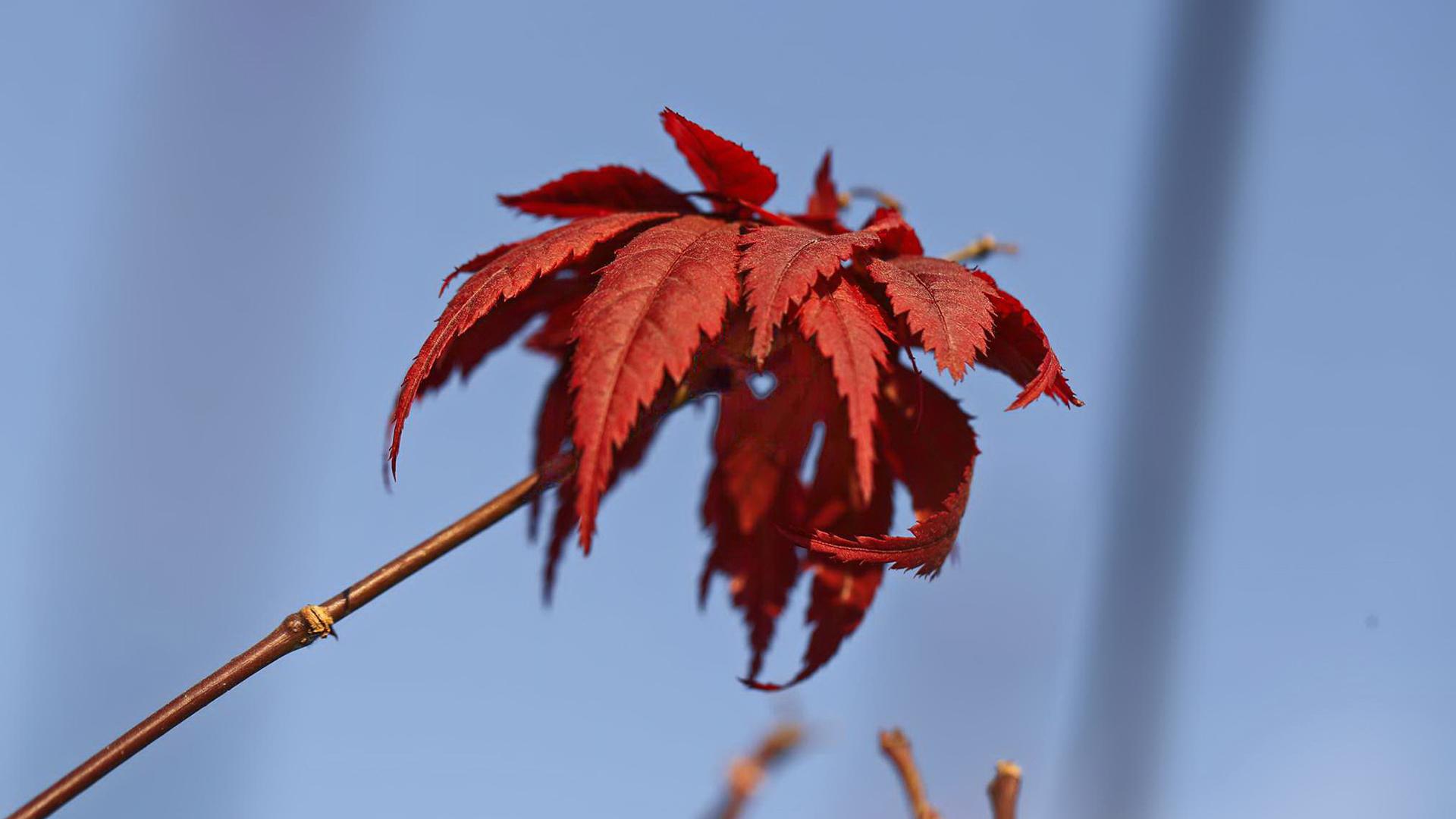 �����к����ִ�ȫ���������� �����к�ȡʲô���ֺ�