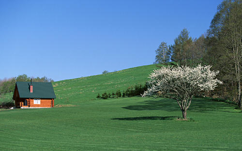ɽ������Ψ�������ִ�����������ɽ�����İ���������