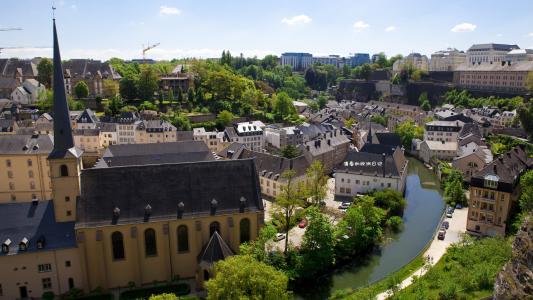 è�����ֿɰ�����Ӣ�ģ�������һ�޶���è����