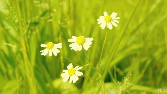 �ʺ�Ů����ľ���Ե����֣�Ů����ľ��ƫ�Ժ���������	