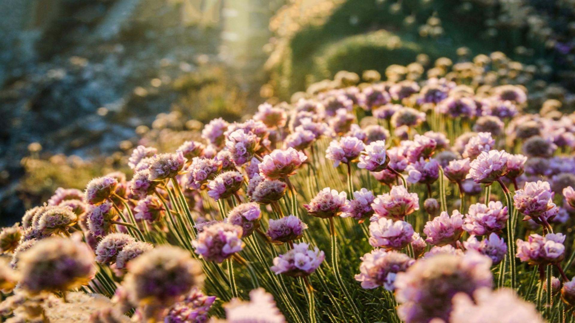 ����������ɭϵŮ��Ӣ���� ��Ůins�и߼��е�ɭϵӢ������ȫ