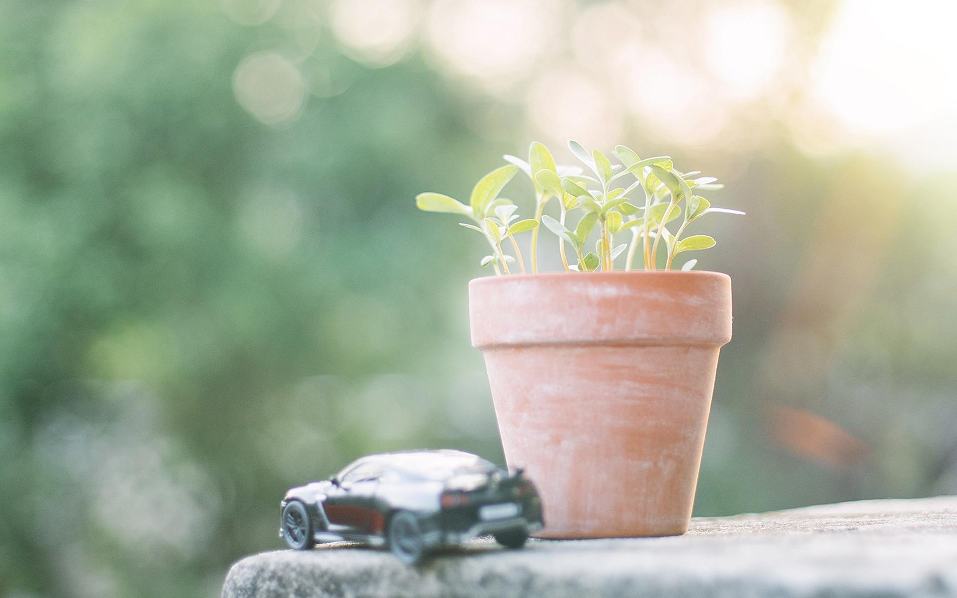 ʫ��ȡ��Ů��ţ�걦�� ʫ���е��ʺ�Ů���ӵ��鶯���ִ�ȫ