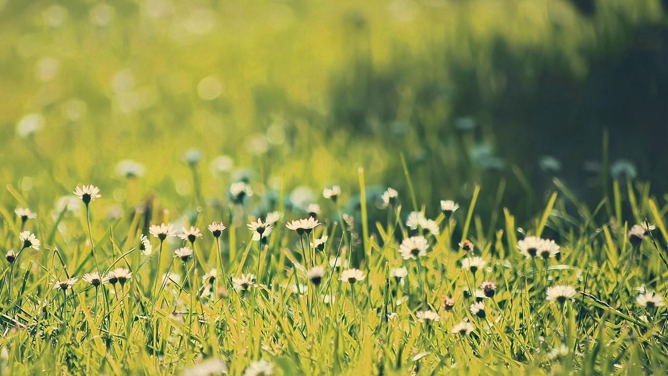 Ů�����ִ�ȫ����Ψ���� Ů�������������ִ�ȫ