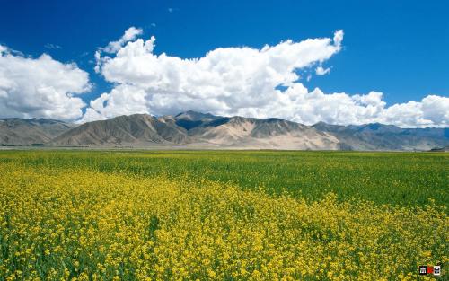 �к�Ӣ�����ִ�ȫ��Ԣ�⣬�б���������Ӣ������