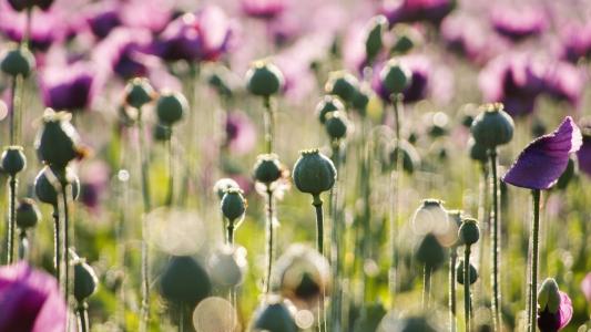 ��������ϡ�ٵ��к����ִ����ͣ��к������к���������