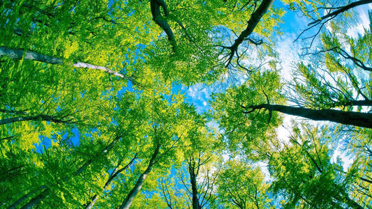 �����к����ּ򵥴������������к������к���������