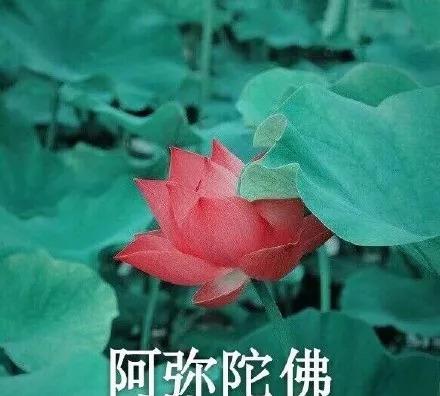 ȡ����������Ե������ �������ŵķ�����ִ�ȫ