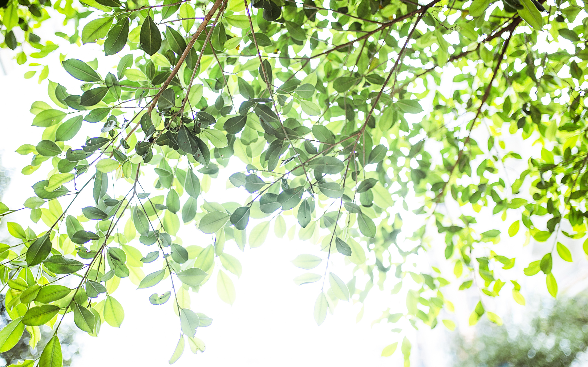 ȱ����ʫ��Ů�����־�ѡ�Ƽ� 2021��ȱ��Ů����������