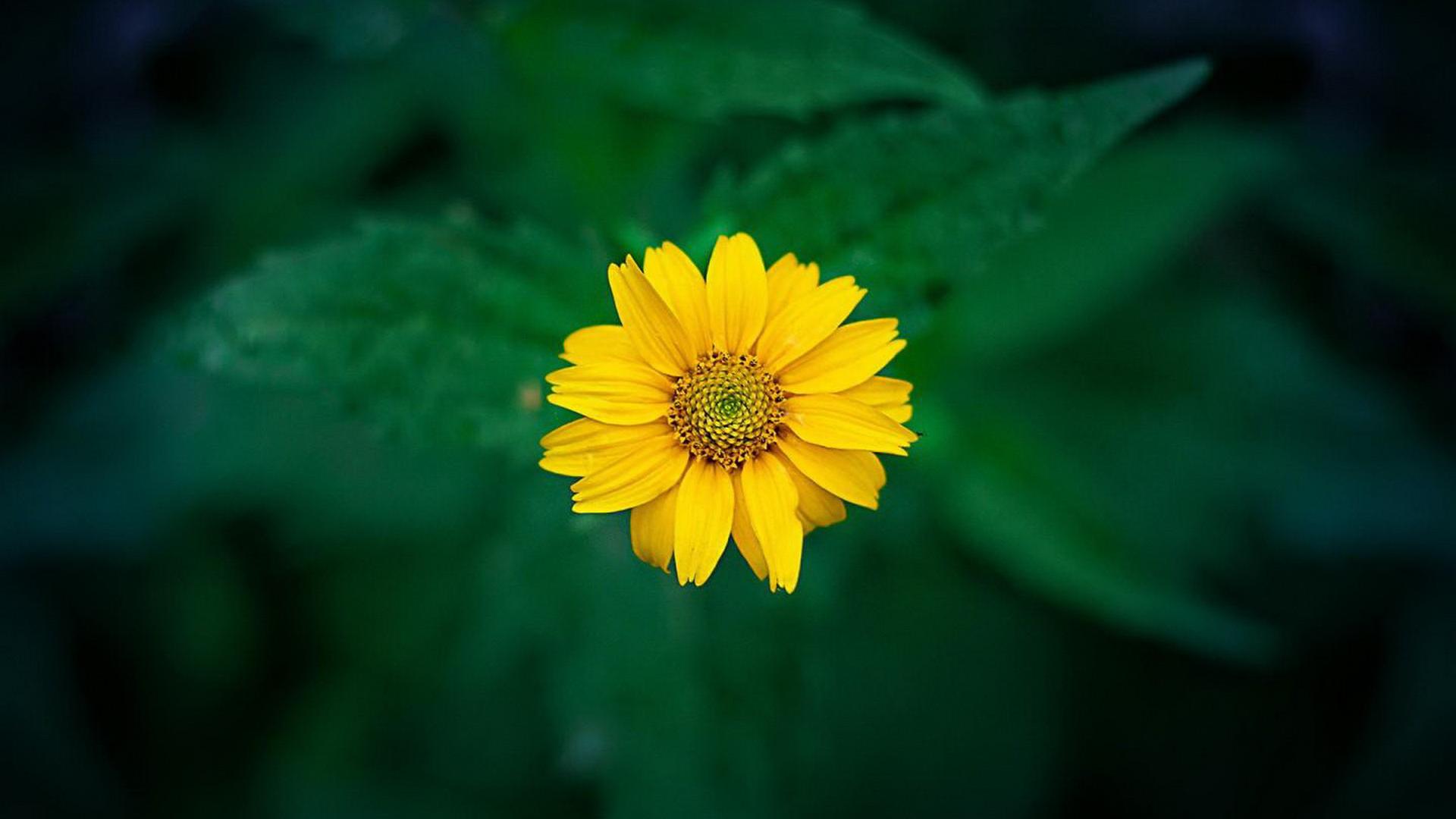 �����Ͽ������к�����������Щ �г�Ϣ���к����ִ�ȫ