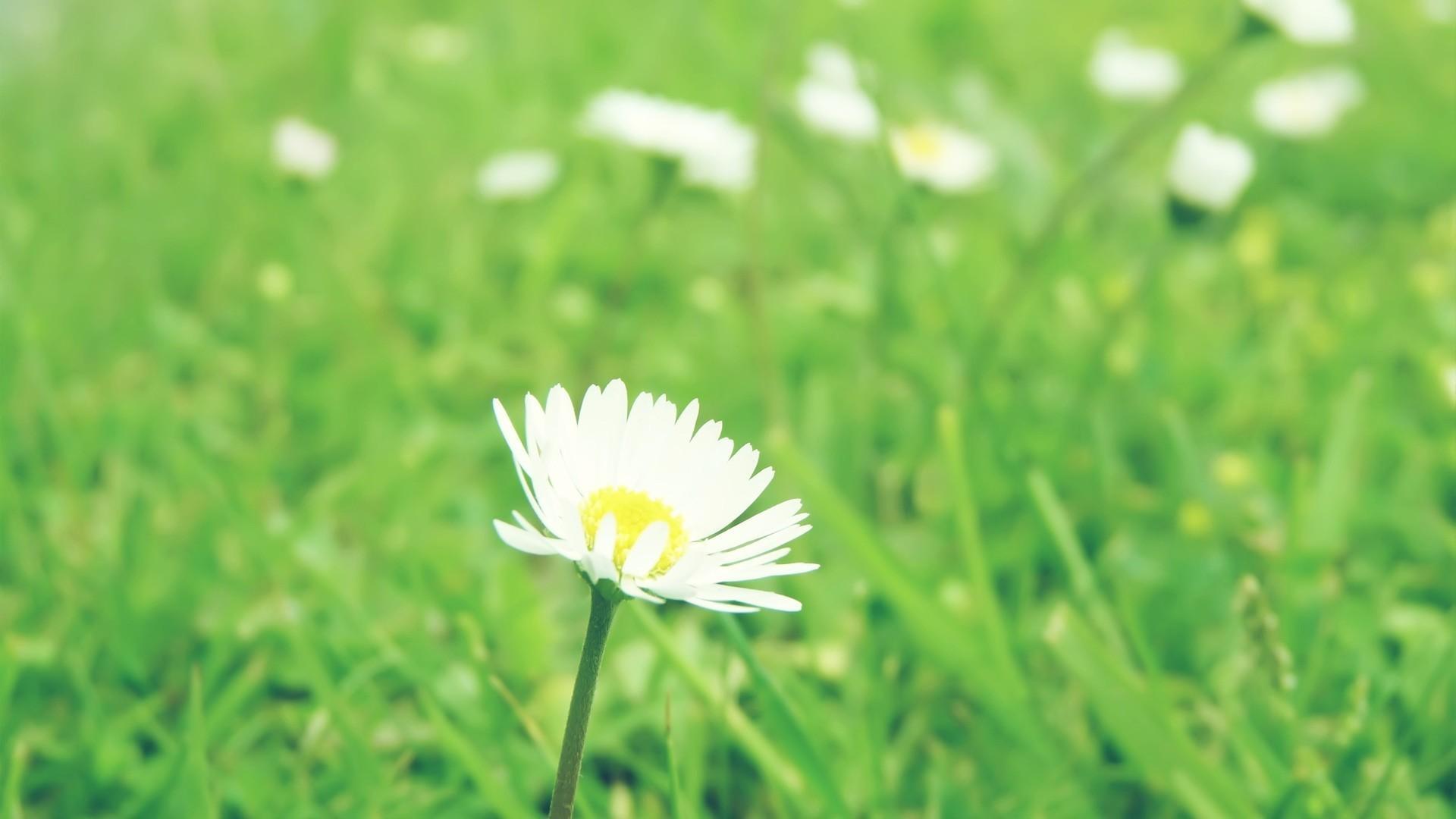 �յ�Ů����ôȡ���ֺ��� �յ˵�Ů�����ִ��������ִ�ȫ