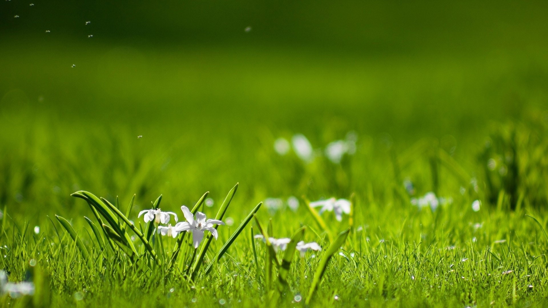 ����ȡ����Ԣ��ò��� ����ȡ����ʲô�ֺ����ִ�ȫ