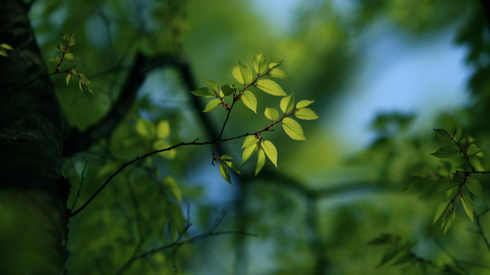 ���ȡ���ĺ���Ԣ����� ��������к�������