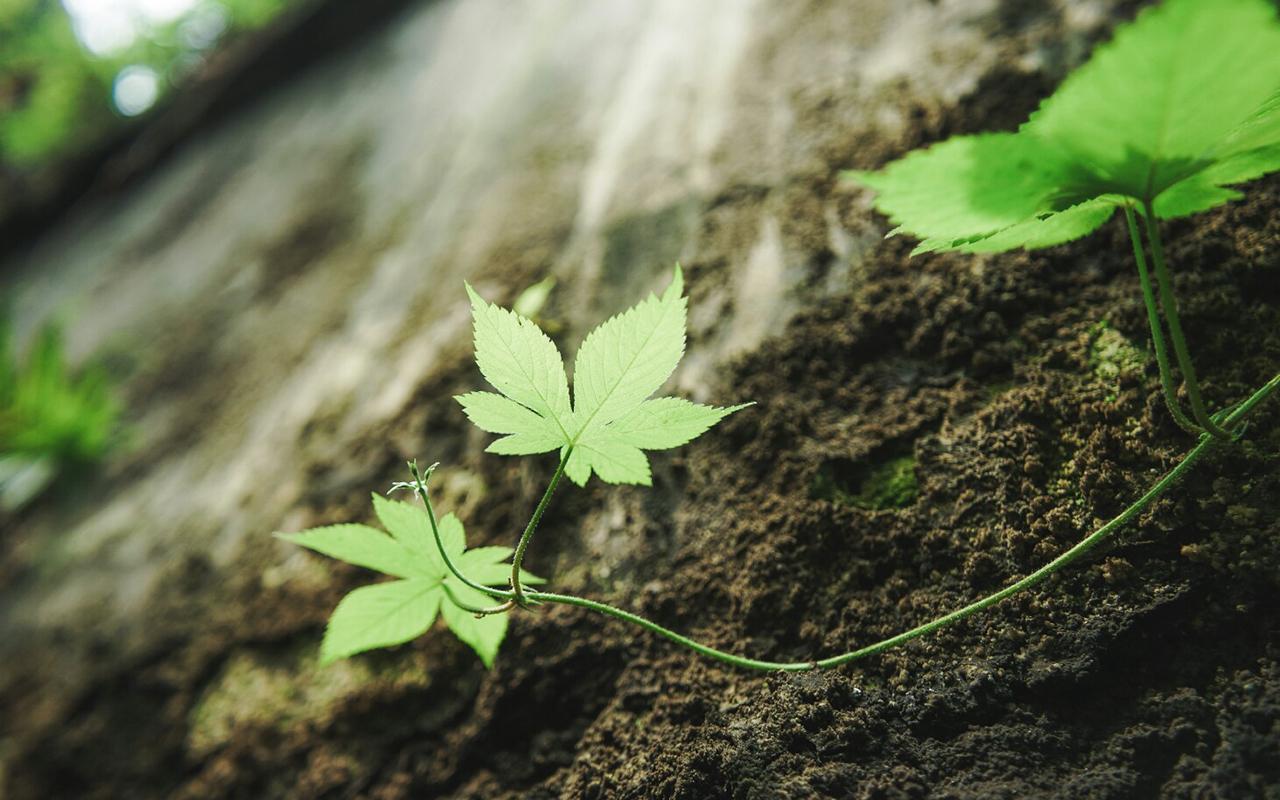 �����Ů�����ּ򵥴��������� 2021������Ů�����ȡ��