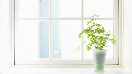 ����ȱ���к�������ѡ������ȱ��100���к�����