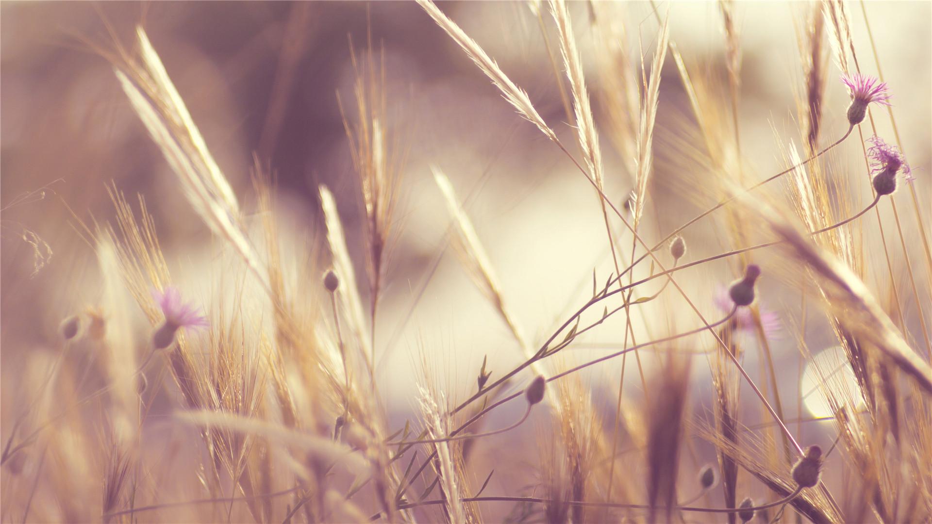 ������к����ȴ��������� ������к�ȡʲô���ֺô�ȫ