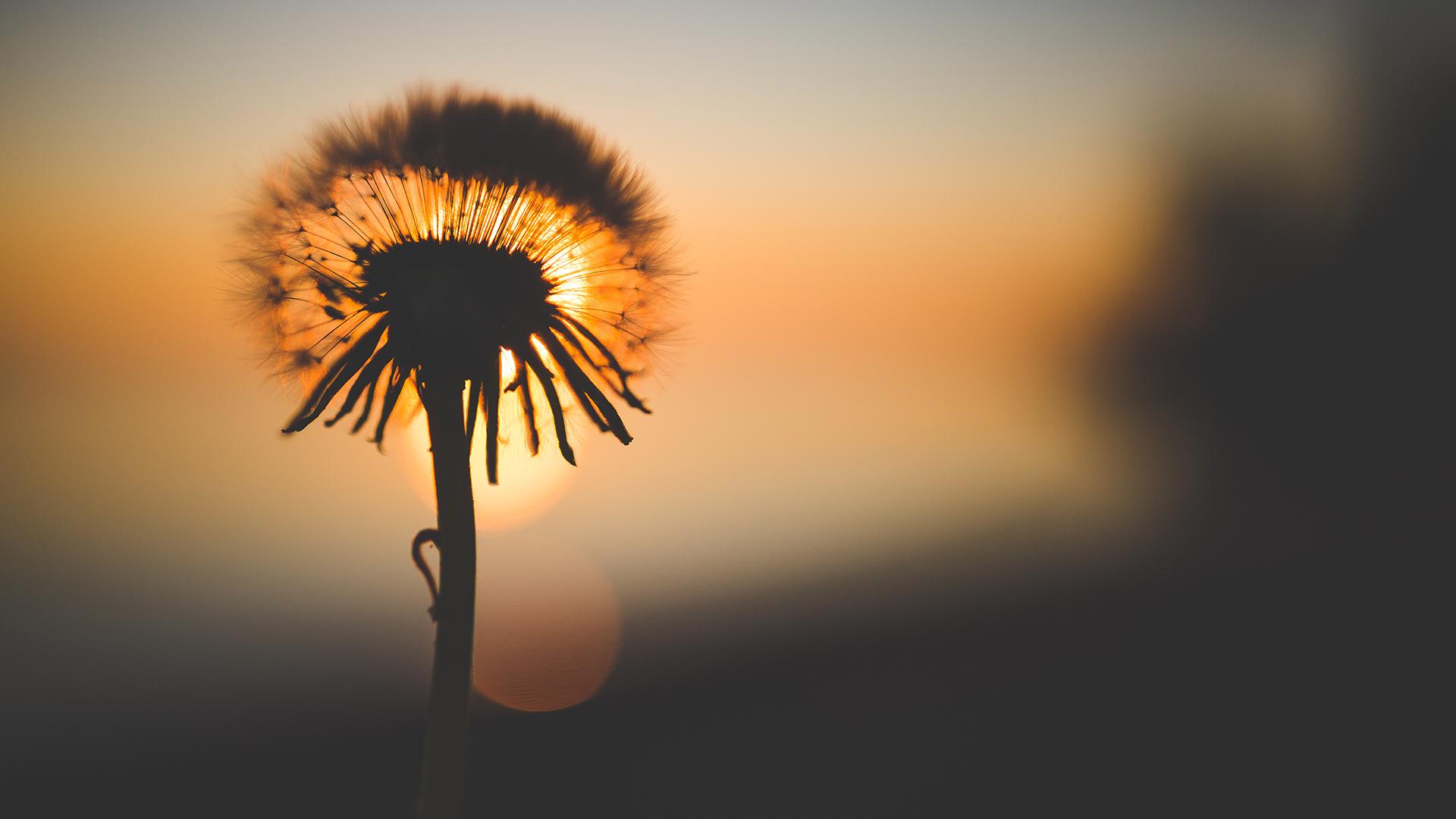 �ʺ��б���������Ԣ��õ��� �б��������ֺ�����˧��