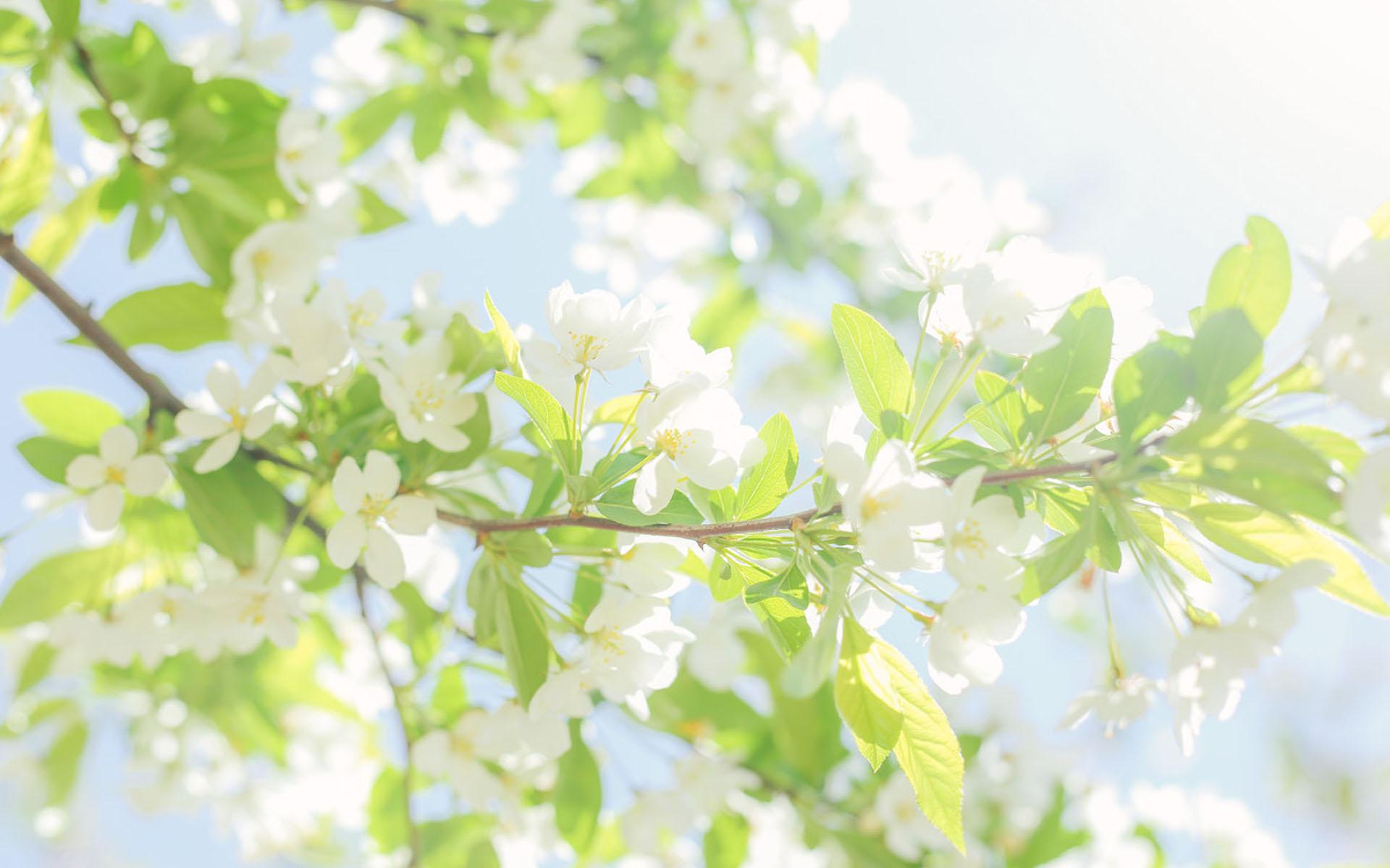 ʫ���к����ִ�ȫ���������� ʫ������ȡ�����ں�����