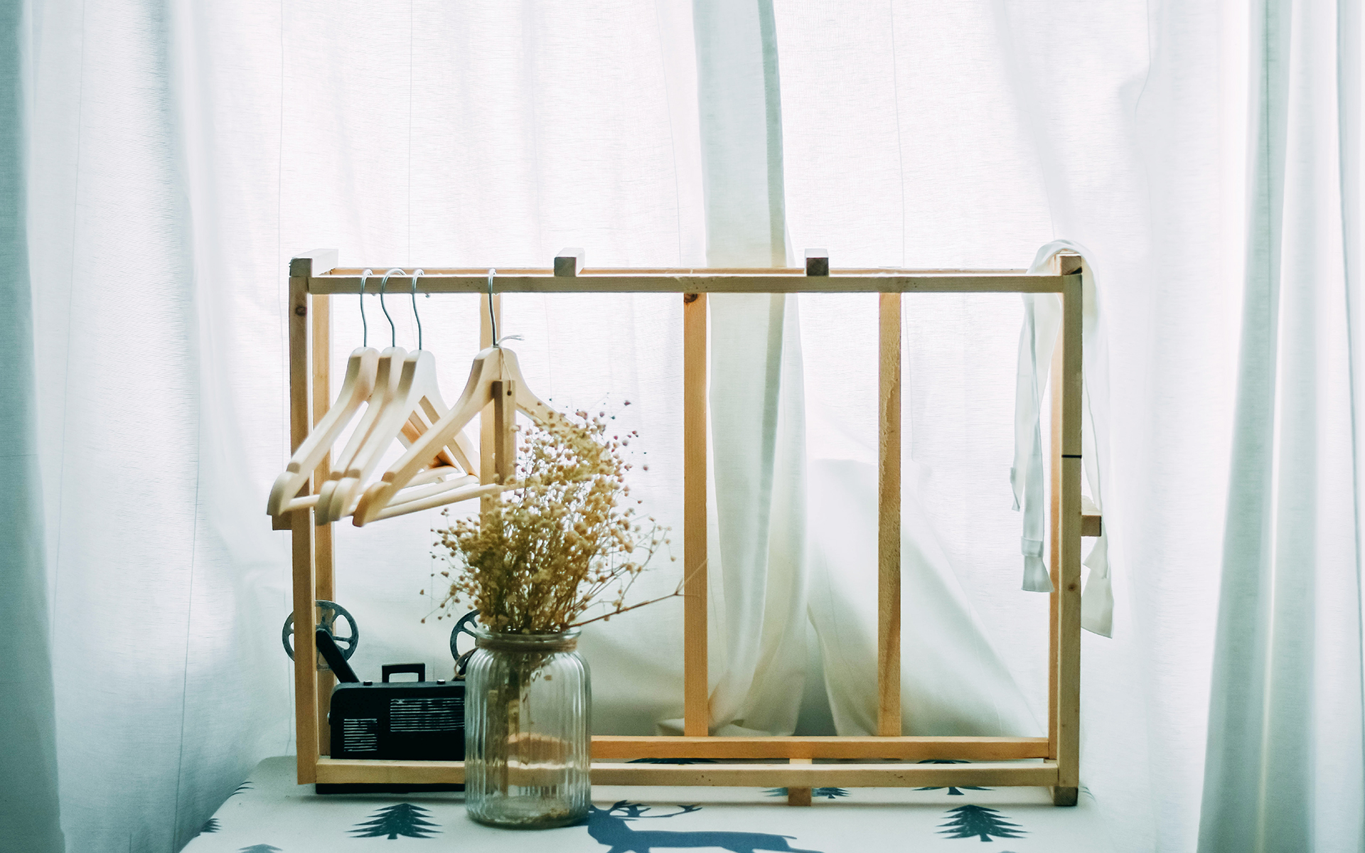 100������Ԣ�������Ů������ ����Ů�������к���������