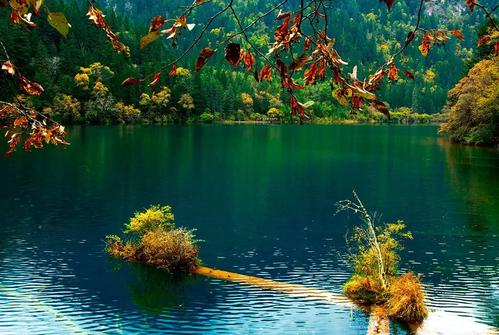 �׶�԰С����ȡӢ������ôȡ���к���Ӣ�����򵥺���