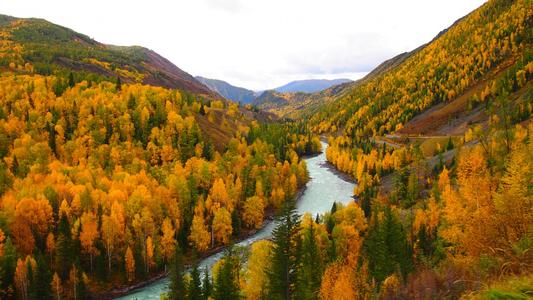 �к������к���������ţ������ţ���к����ȴ�������