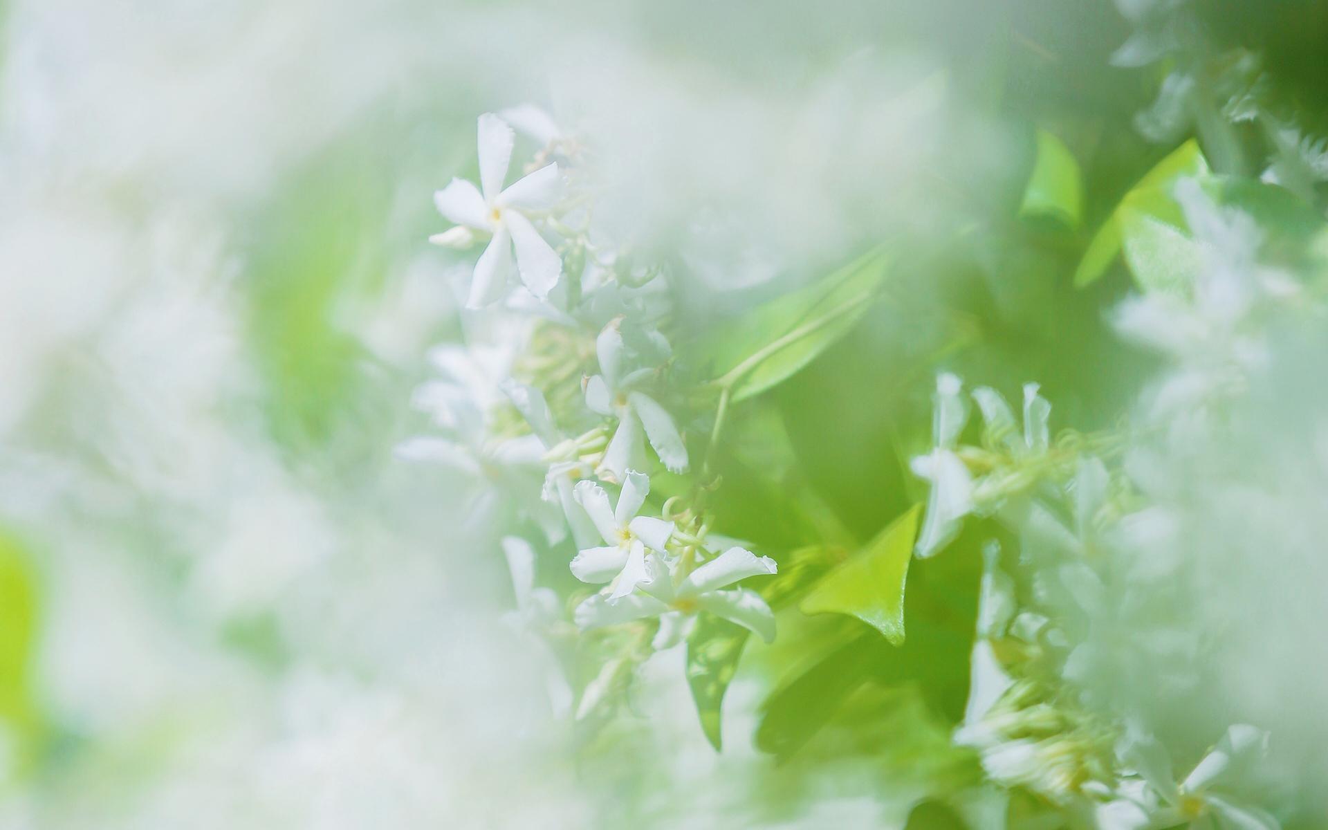 �к�����Ӳ�������ֵ��� �г�Ϣ��־�����к�����