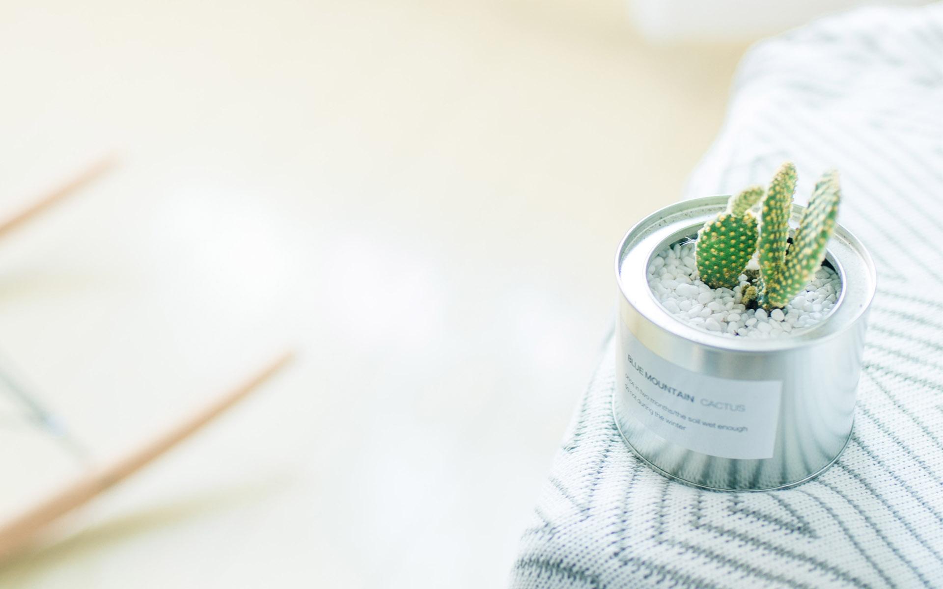 Ů�������ֽ�ʲô�� ������Ԣ���Ů�����ִ�ȫ