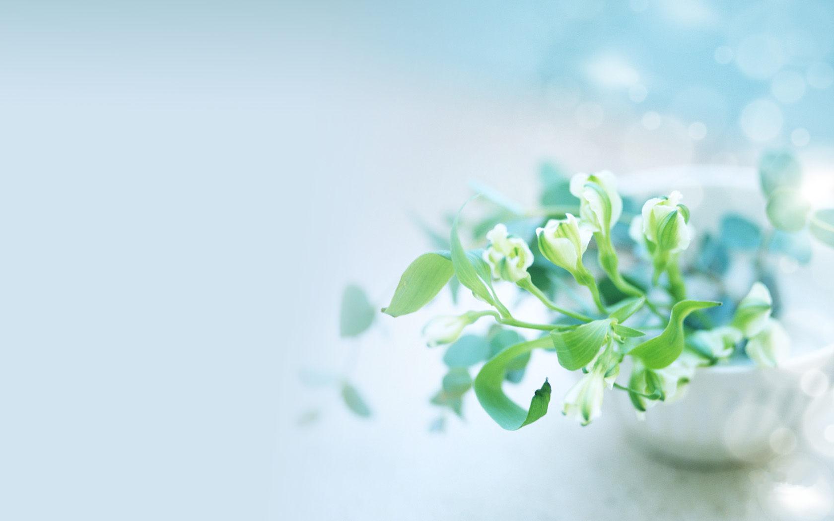 Ů��Ӣ�����ּ򵥺ü���Ԣ�� Ů��Ӣ������Ψ����С��