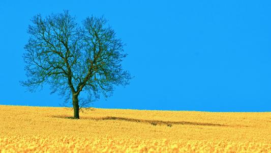 �����к��������ʵ����� 2021�������к�90���������ִ�ȫ