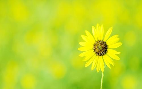 ����Ů�����ּ򵥴�����������100�ֶ���Ů������