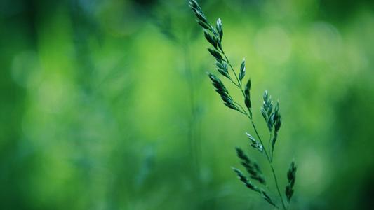 ����Ů�����ּ򵥴�����������100�ֶ���Ů������