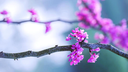 �к���ӱ�к��������ִ����ͣ�2021�к��³����־�ѡ