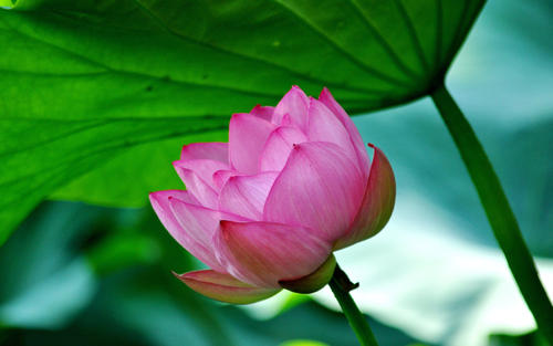 �к���ӱ�к��������ִ����ͣ�2021�к��³����־�ѡ