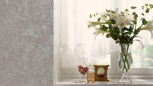 Ů����ʲô���ֺ�����������Ů���³����־�ѡ