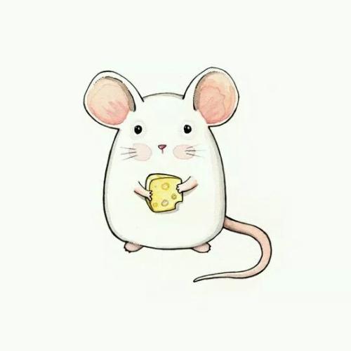 ���������к�С����ôȡ��2021�����������󱦱�С���Ƽ���