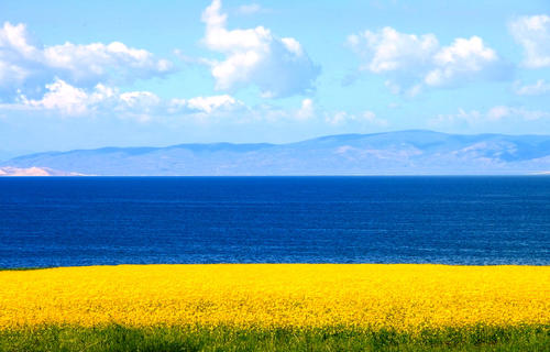 ���¼򵥵�Ů��������ôȡ��Ů�������������ִ�ȫ��ѡ