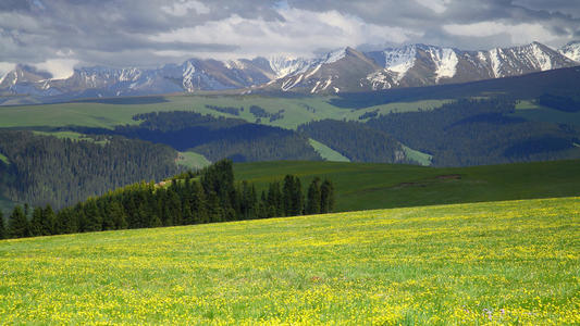 ˫��̥�б���ȡʲô���ֺã��б�˫��̥ȡ����ȫ