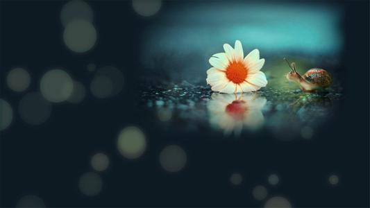 ���غ�����Ů������ 2021Ů��������������Ԣ��õ�����