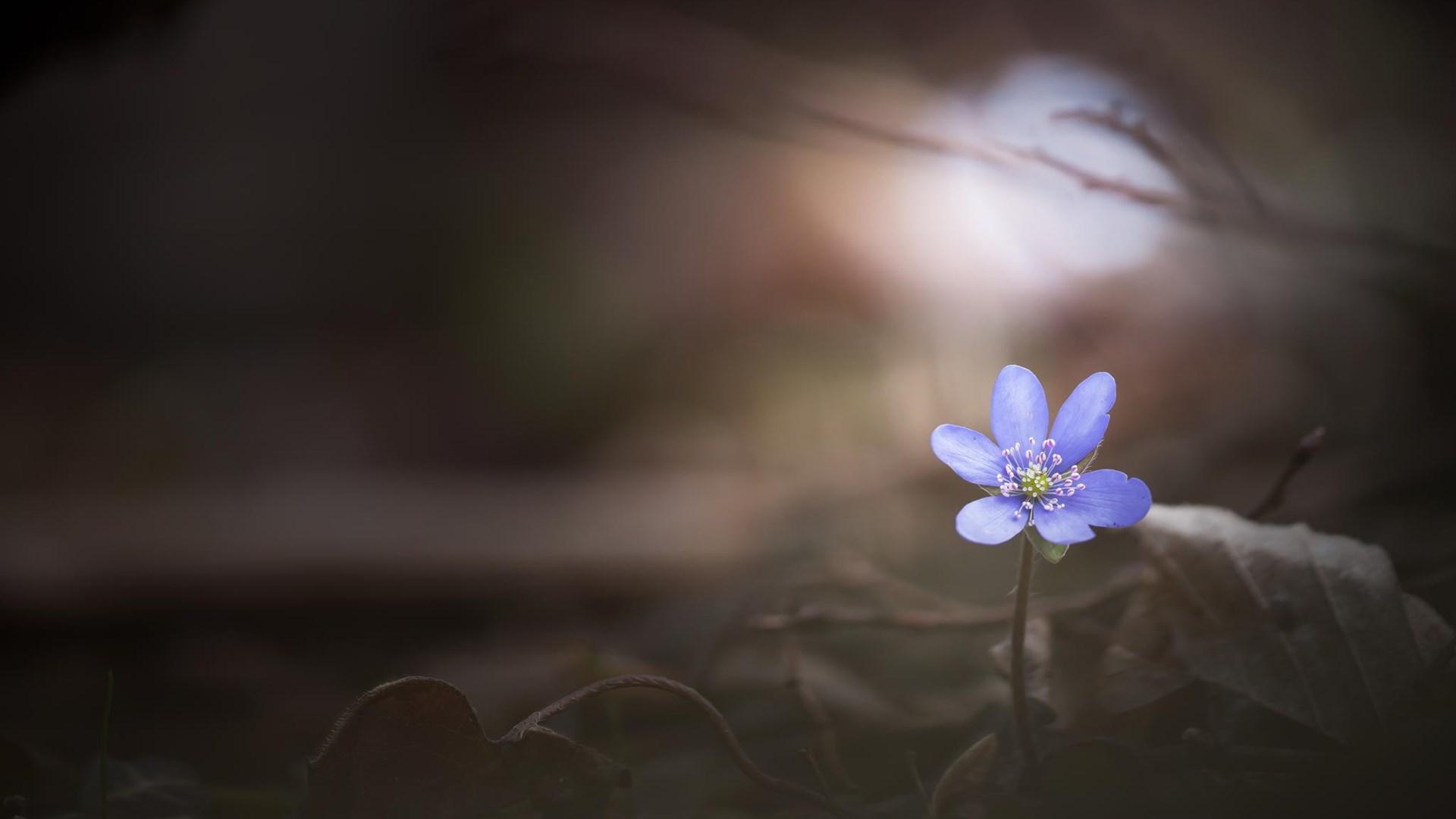 �к������˴���������ȫ�� �����Ƶ��ܵ���ٵ��к�����